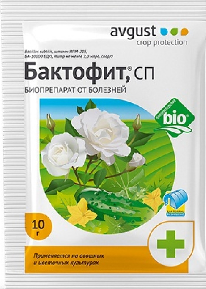 Бактофит 10г