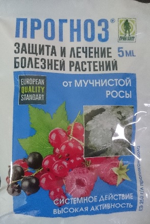 ПРОГНОЗ 5мл