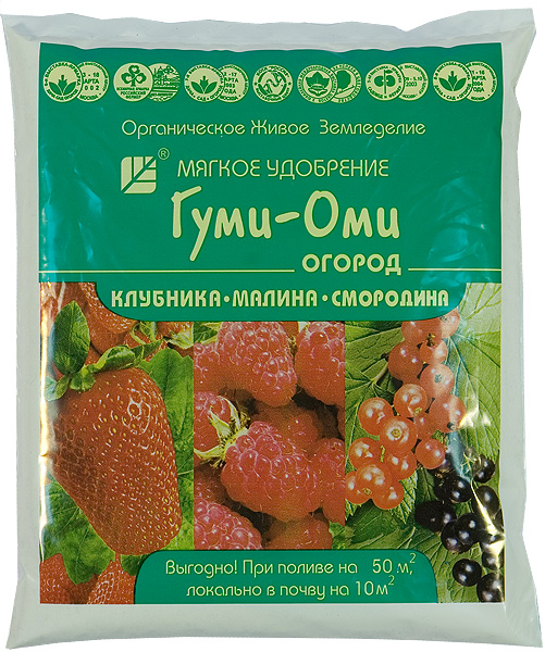 ГУМИ-ОМИ Клубника, Земляника, Малина, Смородина 700г