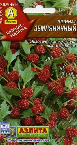 Шпинат Земляничный 0,05г А