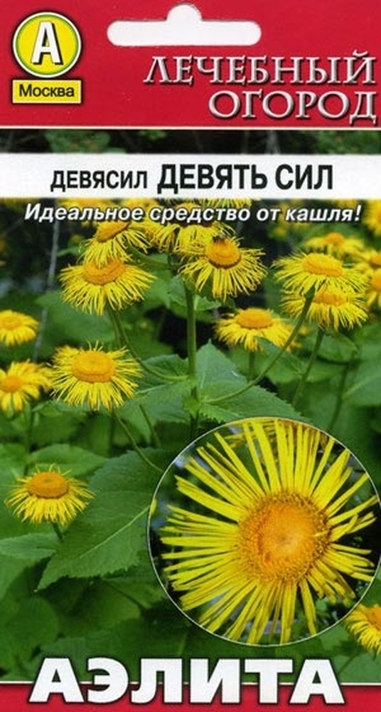 Девясил Девять Сил 0,1г А