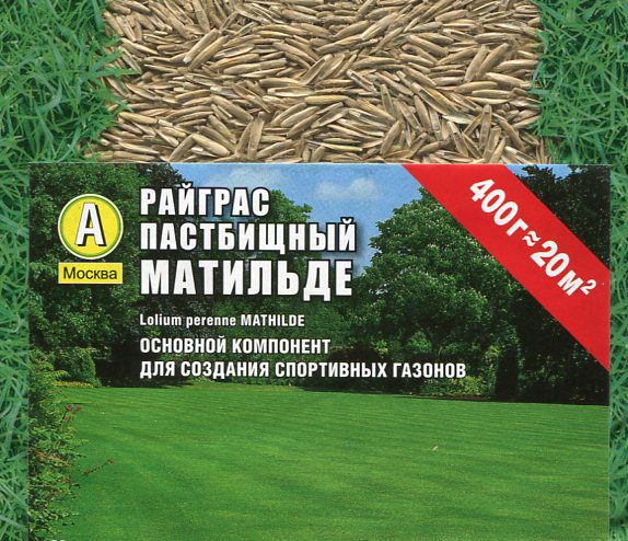 Семена весовые РАЙГРАС Матильде 0,4кг