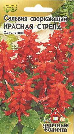Цветы Сальвия Красная Стрела 0,1г А